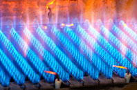 Nannau gas fired boilers